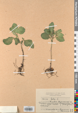 KPABG030515