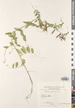 KPABG030528