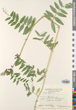 KPABG030530