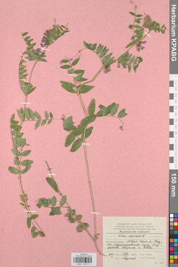 KPABG030531