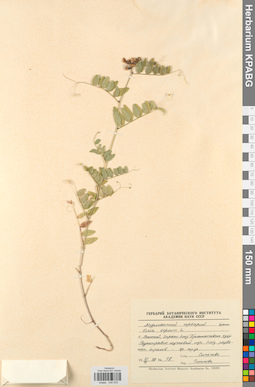 KPABG030533