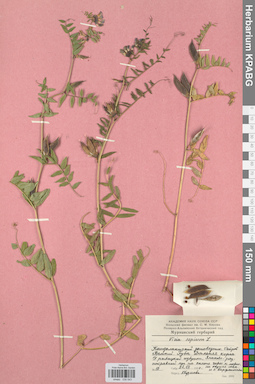 KPABG030543