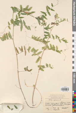 KPABG030552