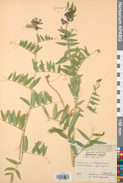 KPABG030553