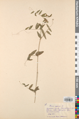 KPABG030557