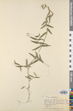 KPABG030558