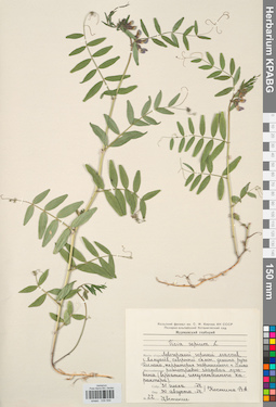 KPABG030559