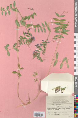 KPABG030564
