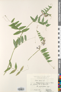 KPABG030571