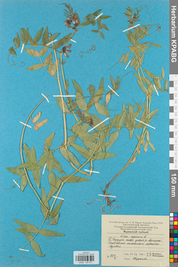 KPABG030575