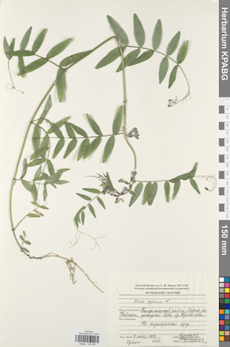 KPABG030581