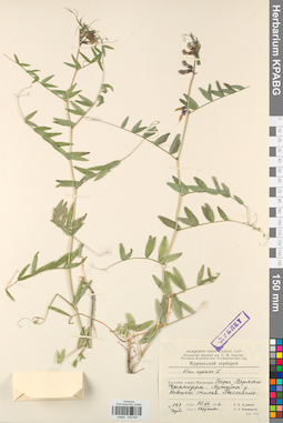 KPABG030587