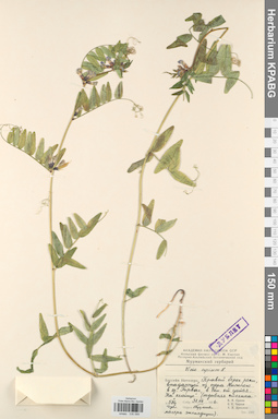 KPABG030589