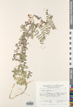 KPABG030596