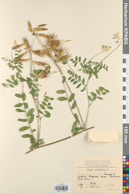 KPABG030601