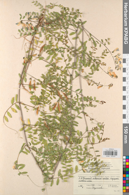 KPABG030607