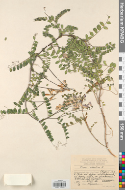 KPABG030608