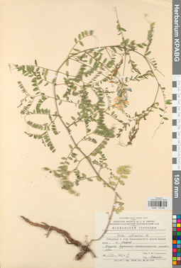 KPABG030609