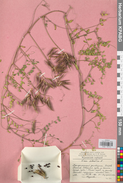 KPABG030612