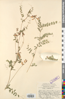KPABG030638