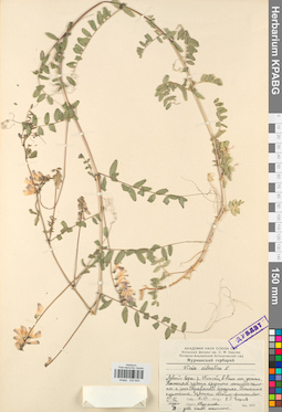 KPABG030640