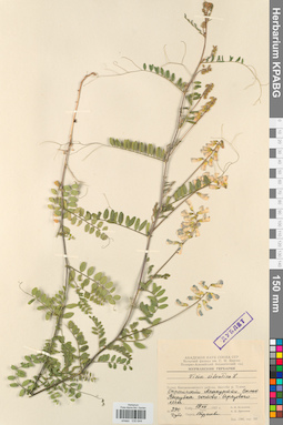 KPABG030644
