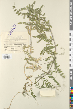 KPABG030645
