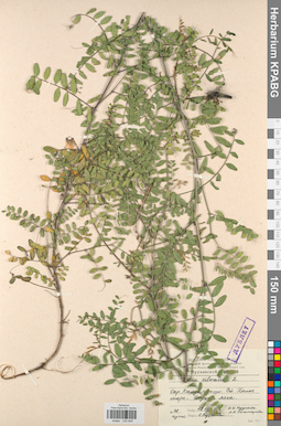 KPABG030649