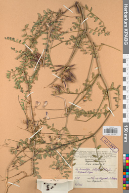 KPABG030656
