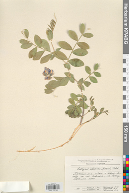 KPABG030669