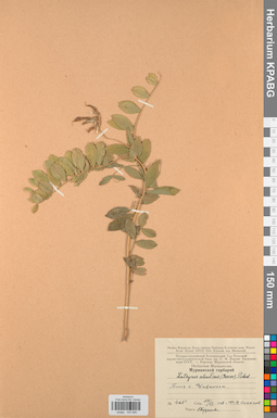 KPABG030680