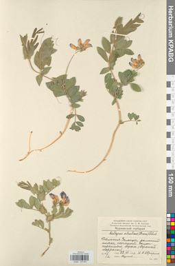 KPABG030693