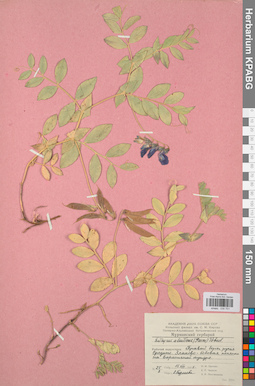 KPABG030701