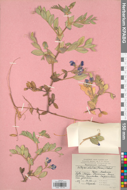 KPABG030702