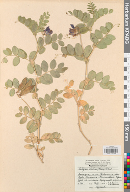 KPABG030704