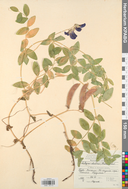 KPABG030710