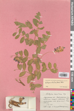 KPABG030723