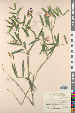 KPABG030742