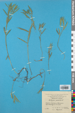 KPABG030744