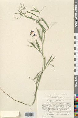 KPABG030760