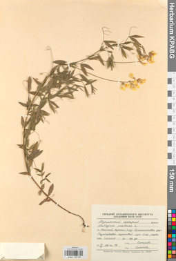 KPABG030769