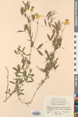 KPABG030802