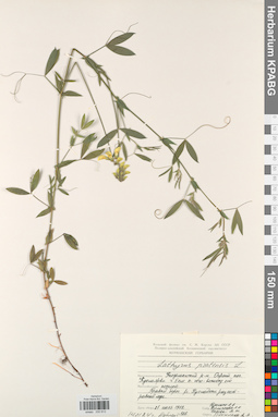 KPABG030812