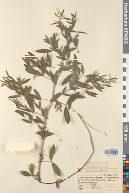 KPABG030814