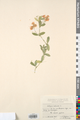 KPABG030818