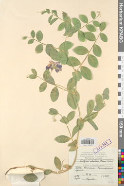KPABG044976