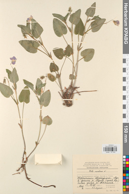 KPABG031662