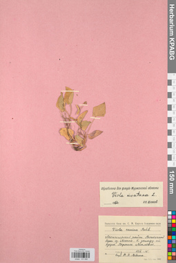 KPABG031698