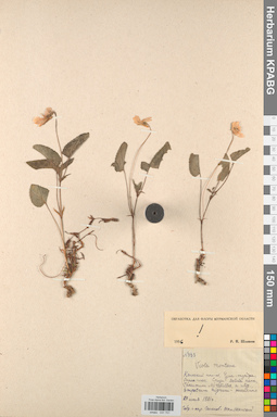 KPABG031701