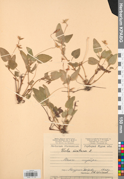 KPABG031709